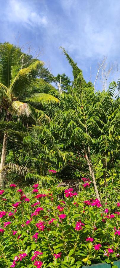 Chalets Des Vacances ทาคามาคา ภายนอก รูปภาพ